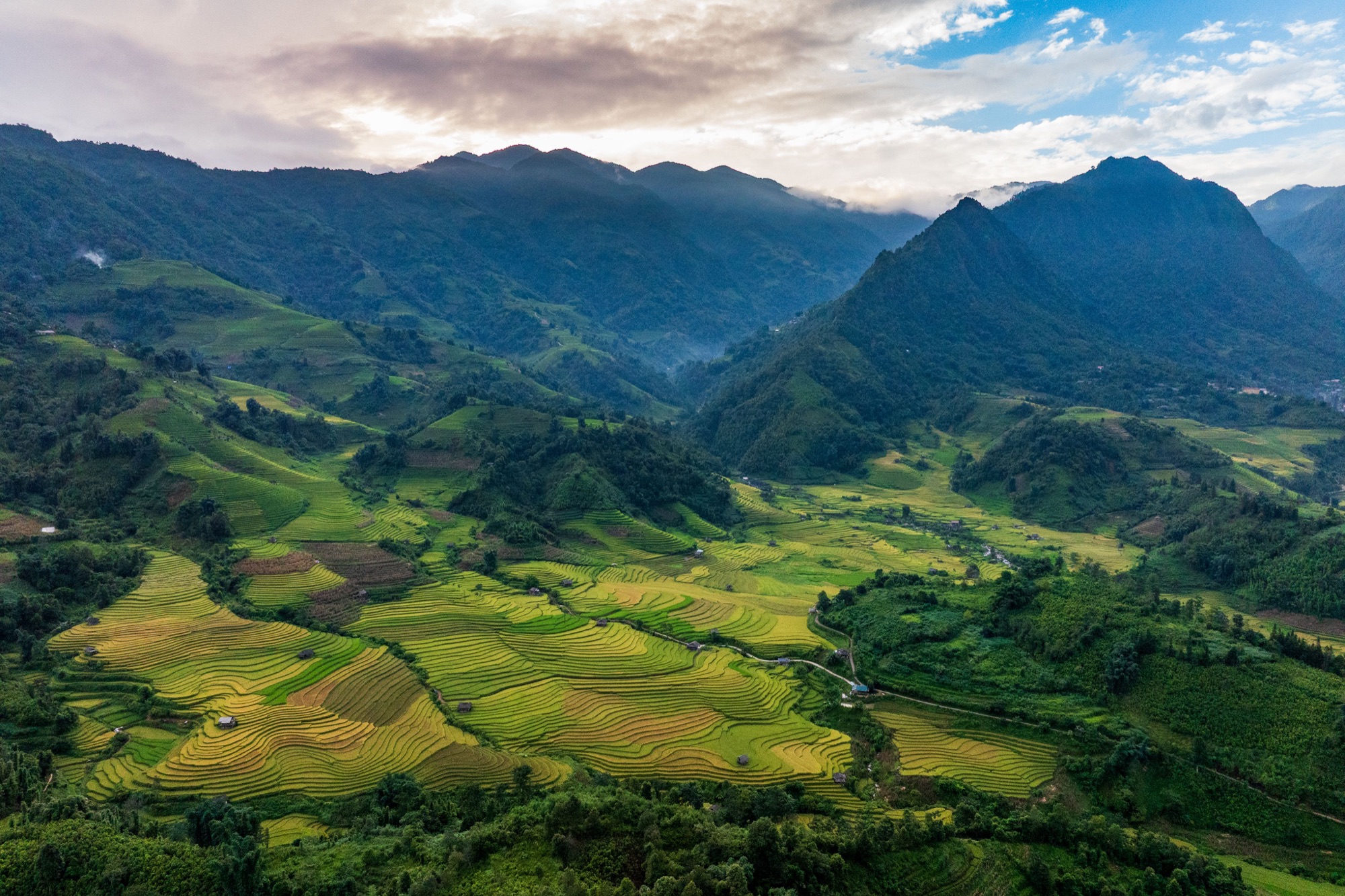 Collines verdoyantes du Nord du Laos